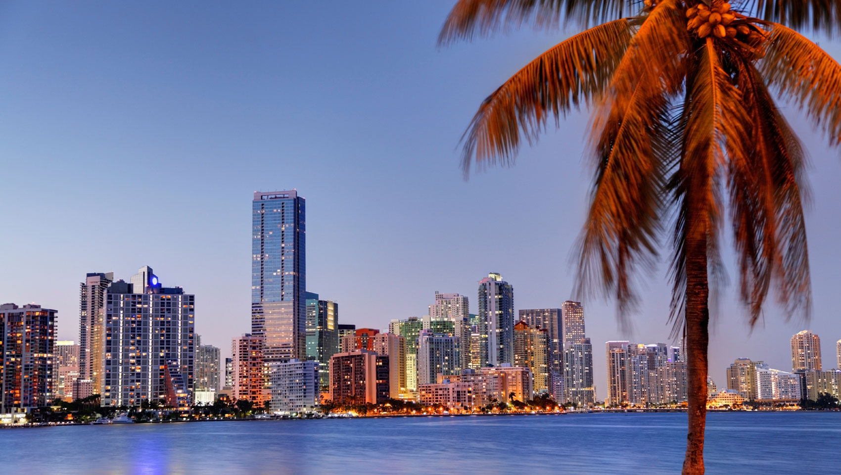 Luxury Hotels near Downtown Miami | Kimpton Hotel Palomar South Beach