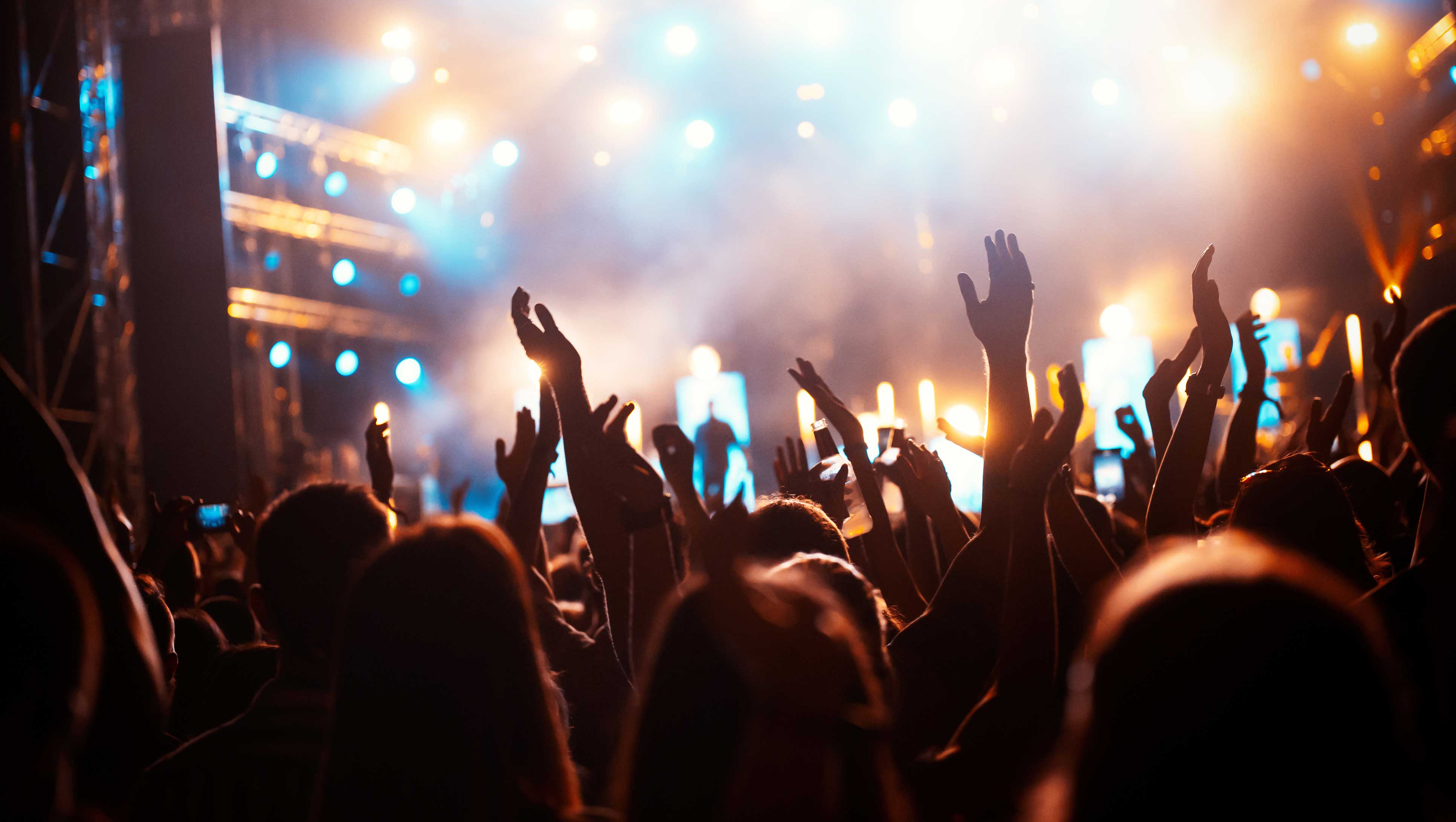 Live Concert Crowd