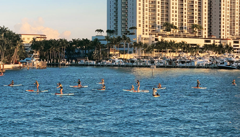 Paddleboarders on Sunset Harbour