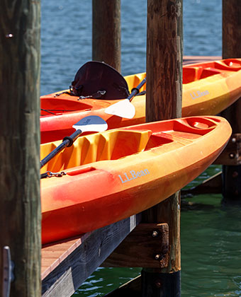 paddle boats on a dock