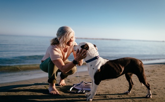 Woman with gray hair playing with dog on a beach