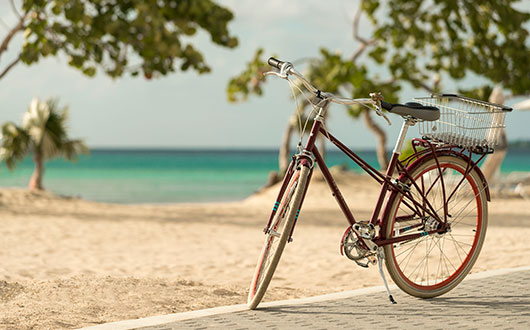 Bike Path